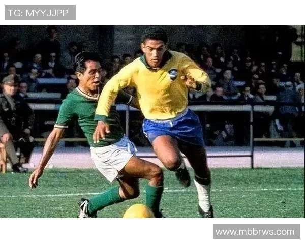 巴西现役足球明星盘点及其在国际赛场上的表现与影响力分析