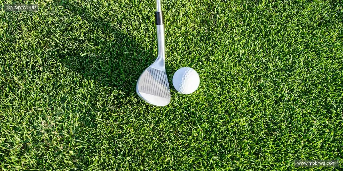 🎁🌟 限量周边，收藏你的热爱！